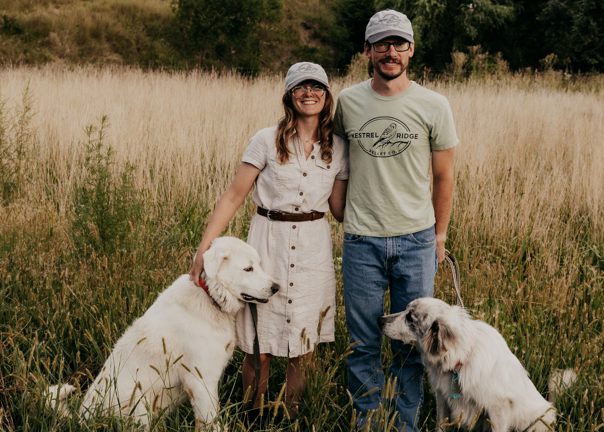 A hobby sheep farm becomes a unique Nebraska business background image